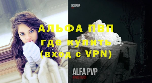 стафф Алексин