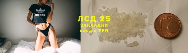 стафф Алексин