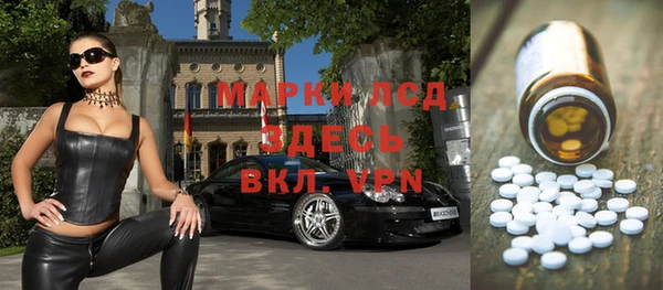 стафф Алексин