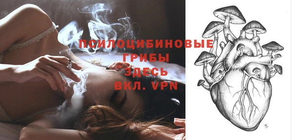 стафф Алексин